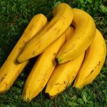 bananas-1642706__340.jpg