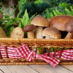 Mushrooms, Edible Mushrooms, Forest Mushrooms, Basket